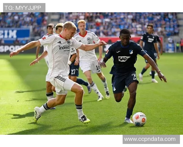 黑山队力克霍芬海姆，豪取德甲胜利！