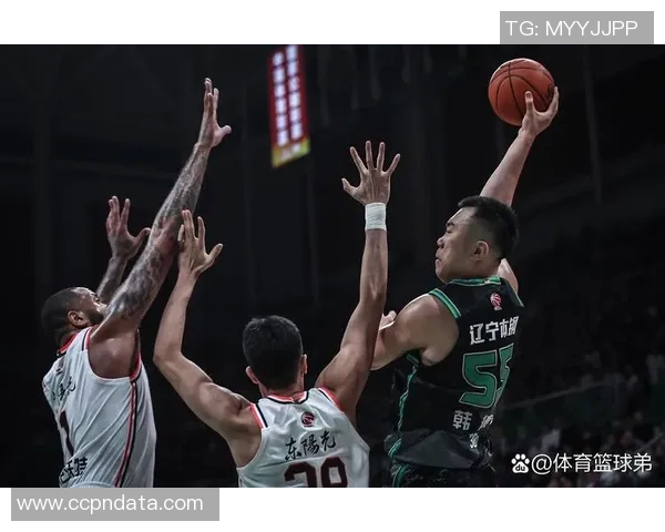 辽宁队宣布签下国内大牌球员，球队实力再添新动力