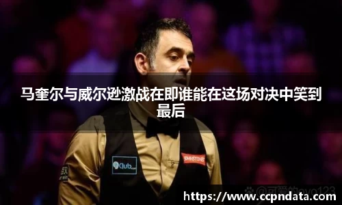 三亿体育最新地址